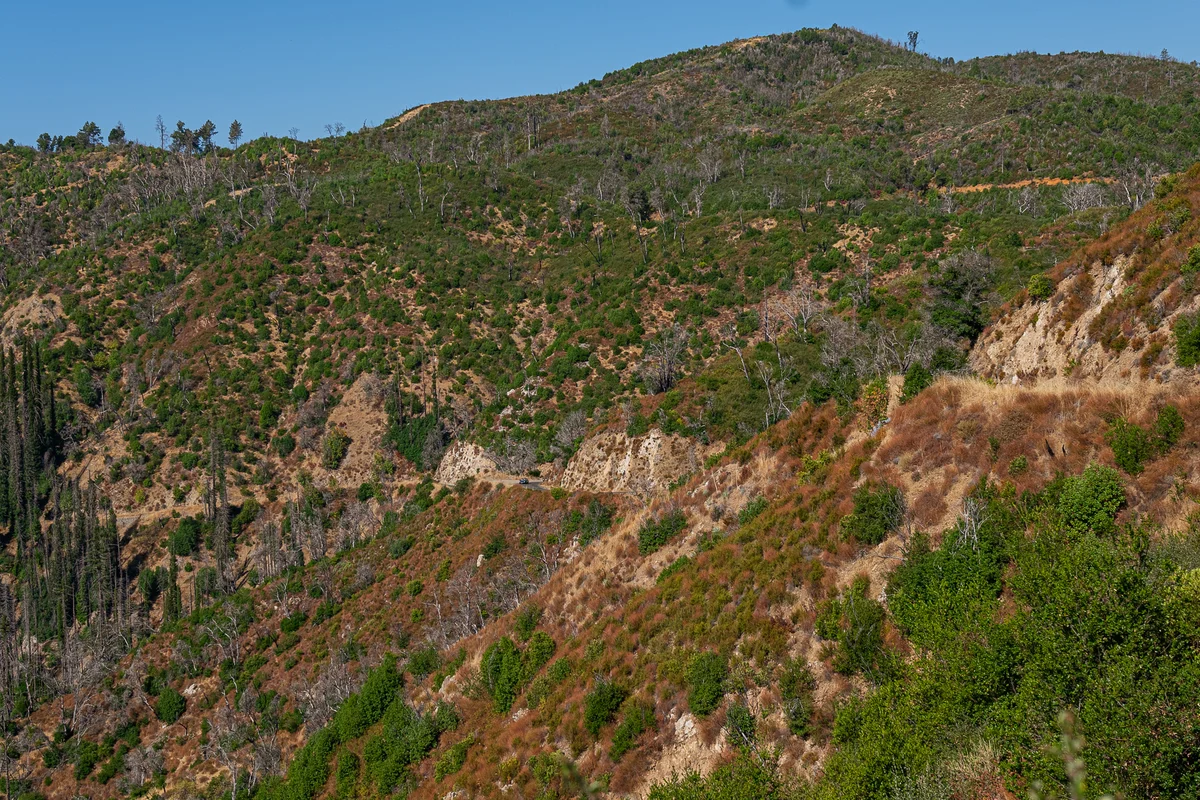 2002Fest 2025 - Photo 10